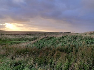 Ferienhaus Ferring  13
