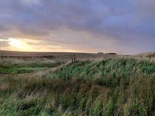 Holiday house Ferring  14