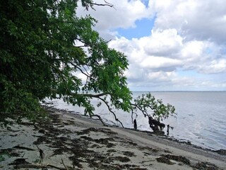 Vakantiehuis Hejlsminde  36