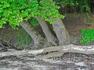 Vakantiehuis Hejlsminde  14