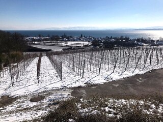 Appartamento per vacanze Immenstaad Caratteristiche 37