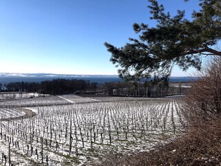 Appartamento per vacanze Immenstaad Caratteristiche 38