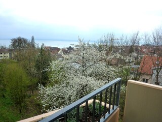 Appartamento per vacanze Immenstaad Registrazione all'aperto 3