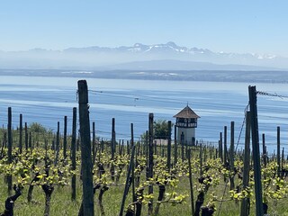 Vakantieappartement Immenstaad Kenmerken 38