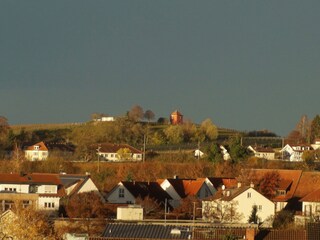 Appartamento per vacanze Immenstaad Registrazione all'aperto 29