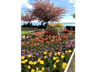 Apartamento de vacaciones Immenstaad Grabación al aire libre 31