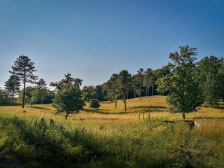 Casa per le vacanze Råbylille Strand  31