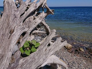 Vakantiehuis Råbylille Strand  35