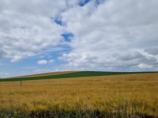 Vakantiehuis Råbylille Strand  10