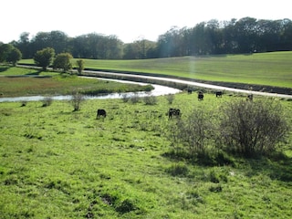 Vakantiehuis Råbylille Strand  15