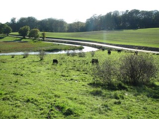 Vakantiehuis Råbylille Strand  21
