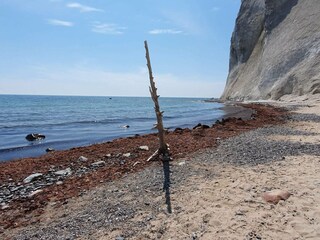 Vakantiehuis Råbylille Strand  23