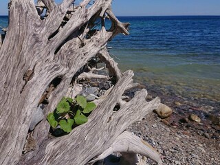 Ferienhaus Råbylille Strand  33