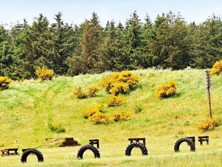 Vakantiehuis Tranum Strand  37