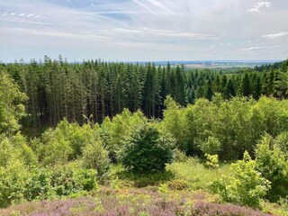 Vakantiehuis Tranum Strand  21