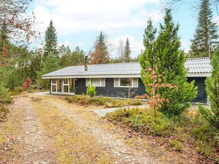 Holiday house Herning Outdoor Recording 4