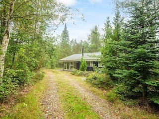 Ferienhaus Herning  29