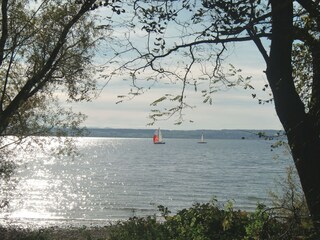 Appartamento per vacanze Immenstaad  41