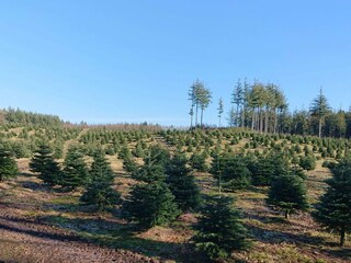 Maison de vacances Virksund  32