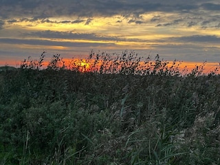 Ferienhaus Ebeltoft  36