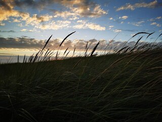 Vakantiehuis Blåvand  2