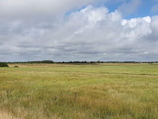 Vakantiehuis Blåvand  11