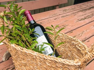 Casa per le vacanze Blåvand  33