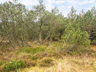 Vakantiehuis Blåvand  37