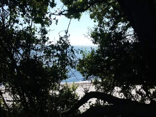 Ferienhaus Vaeggerløse  19