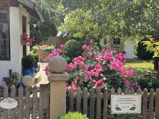 Ferienwohnung Utting am Ammersee Umgebung 8