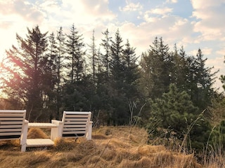 Holiday house Ulfborg Outdoor Recording 8