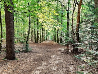 Ferienhaus Ulfborg  37
