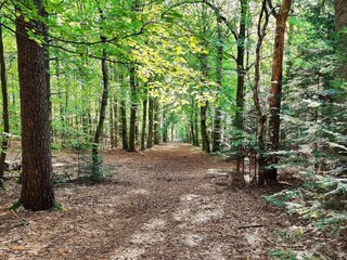 Vakantiehuis Ulfborg  48