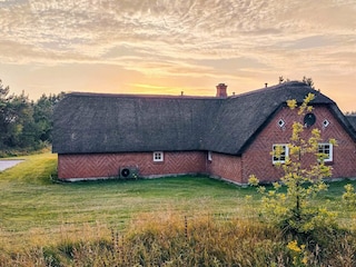 Ferienhaus Ulfborg Außenaufnahme 5