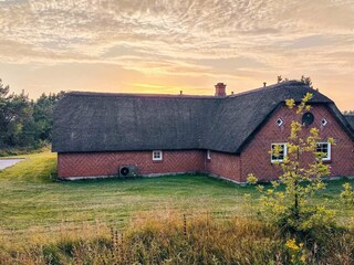 Vakantiehuis Ulfborg Buitenaudio-opname 4