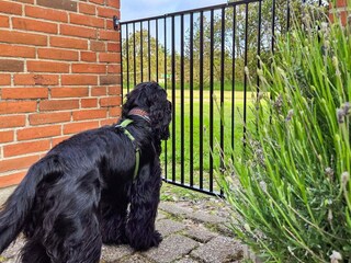 Vakantiehuis Ulfborg Buitenaudio-opname 7