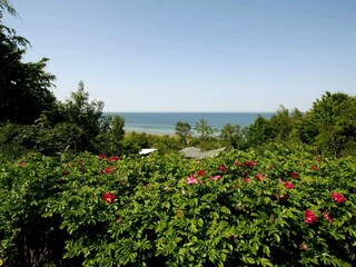 Casa per le vacanze Fårevejle  21