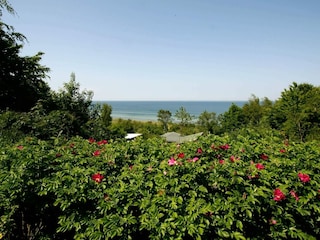 Maison de vacances Fårevejle  26