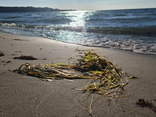 Vakantiehuis Fårevejle  25