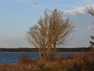 Casa per le vacanze Fårevejle  14