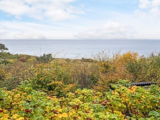 Ferienhaus Fårevejle  37