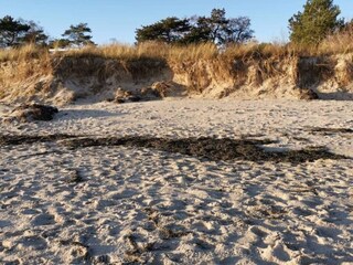 Casa de vacaciones Vaeggerløse  21