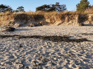 Ferienhaus Vaeggerløse  20