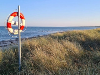 Ferienhaus Vaeggerløse  21