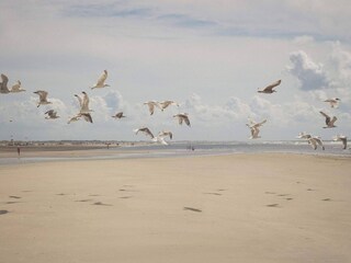 Appartamento Fanø Bad  32