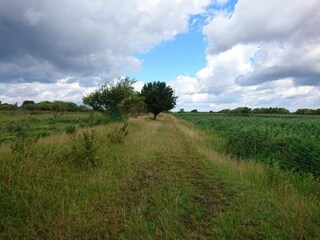 Holiday house Stege  25