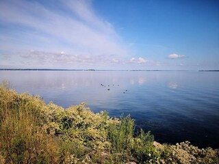 Casa per le vacanze Stege  27