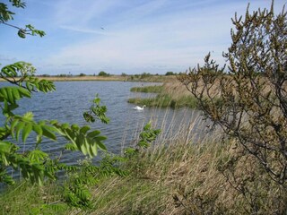Casa per le vacanze Stege  13