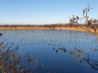 Vakantiehuis Stege  21