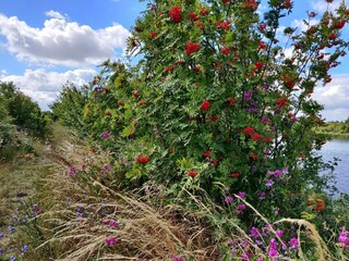 Casa de vacaciones Stege  34